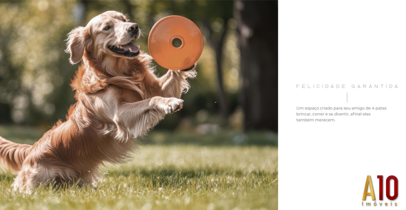 Apartamento, 3 quartos, 70 m² - Foto 23